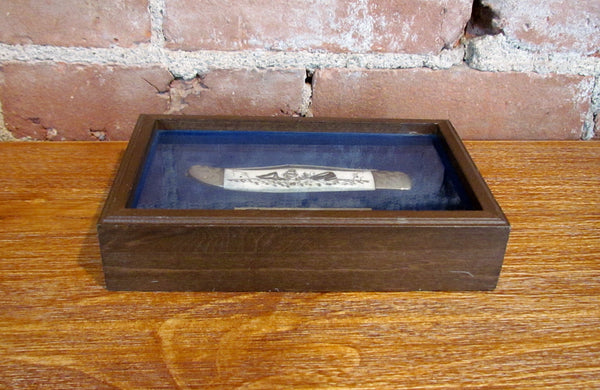 Case Moby Dick Pocket Knife Handcrafted Bone Scrimshawed