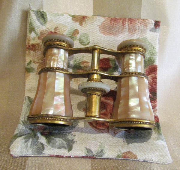 Antique LeMaire Fi Paris Opera Glasses 1800s Mother Of Pearl Binoculars Theater Glasses 1920s GrosGrain Box Purse