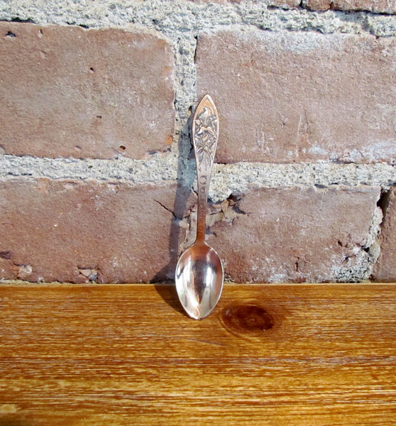 Vintage Solid Copper Colorado Souvenir Spoon