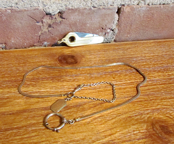 D.F. Briggs 12kt GF Pocket Watch Chain & 12kt GF J&CN Co. Cigar Cutter Fob Victorian